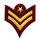 Fashion Decoration Fabric Embroidery Textile Woven Police Label Garment Clothing Accessories Patch for Promotion Gift